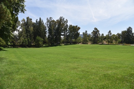 Enlarge photo 45