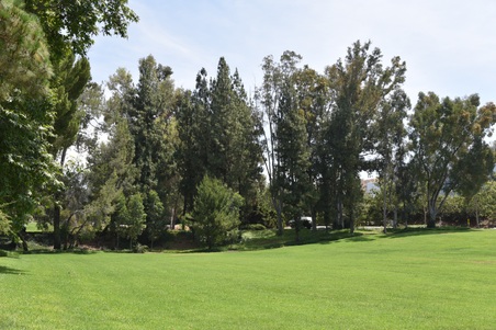 Enlarge photo 44