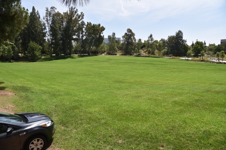 Enlarge photo 47