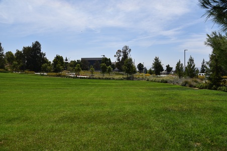Enlarge photo 49