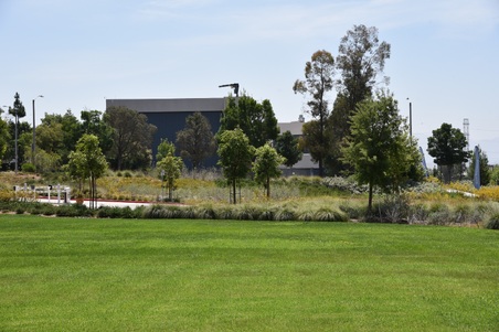 Enlarge photo 50