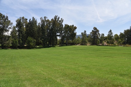 Enlarge photo 51