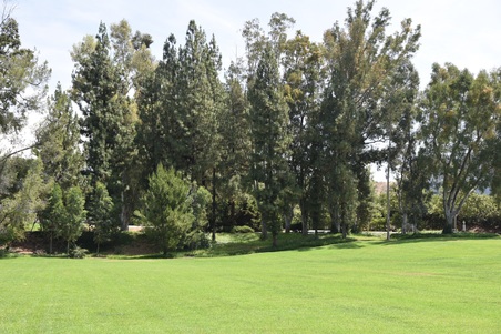 Enlarge photo 52