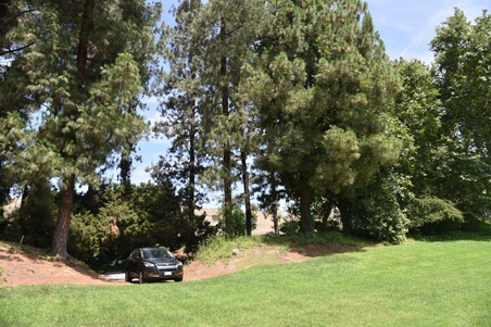Enlarge photo 54
