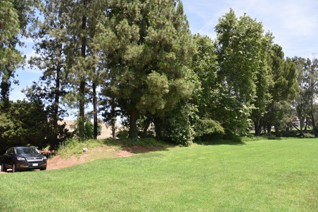 Enlarge photo 55