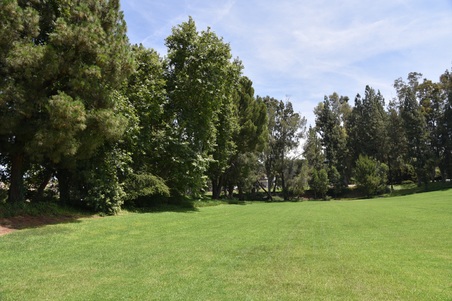 Enlarge photo 57
