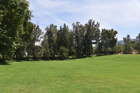 Enlarge photo 56