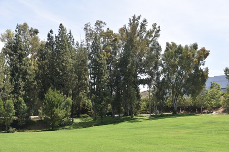 Enlarge photo 58