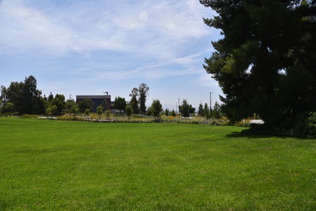 Enlarge photo 60