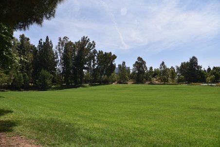 Enlarge photo 61