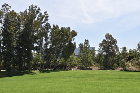 Enlarge photo 62