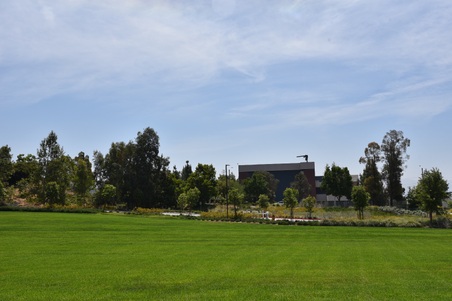 Enlarge photo 63