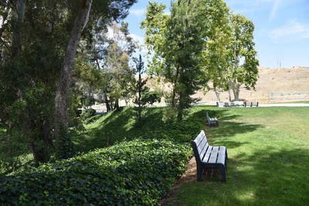 Enlarge photo 79
