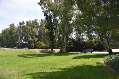 Enlarge photo 83