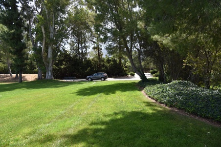 Enlarge photo 86