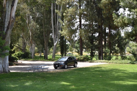 Enlarge photo 89