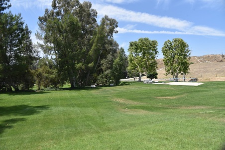 Enlarge photo 92
