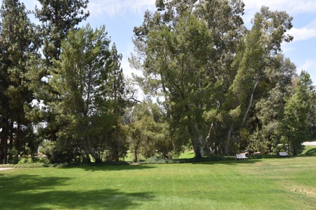 Enlarge photo 91