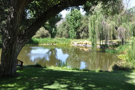 Enlarge photo 8