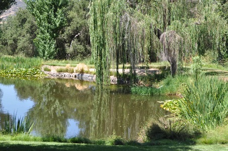 Enlarge photo 9