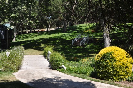 Enlarge photo 11