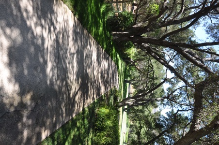 Enlarge photo 53