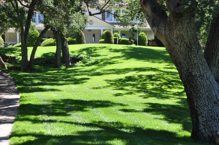 Enlarge photo 58