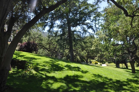 Enlarge photo 90