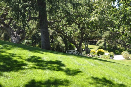 Enlarge photo 91