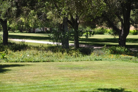 Enlarge photo 92
