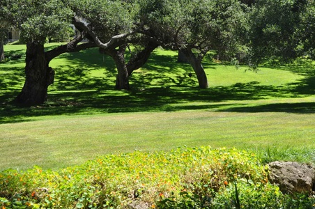 Enlarge photo 99