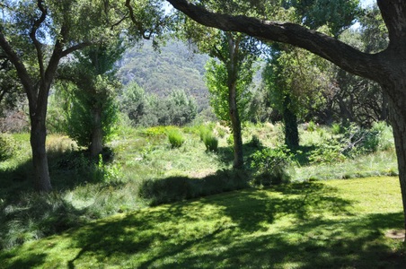Enlarge photo 102