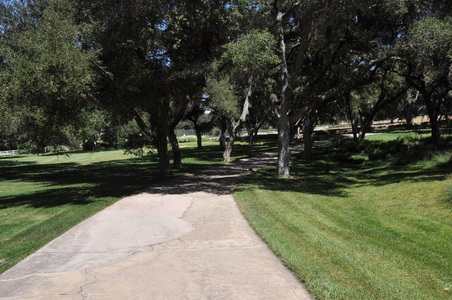 Enlarge photo 109