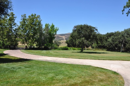 Enlarge photo 115