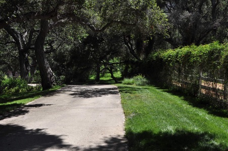 Enlarge photo 119