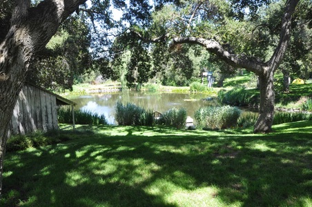 Enlarge photo 120