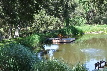 Enlarge photo 122