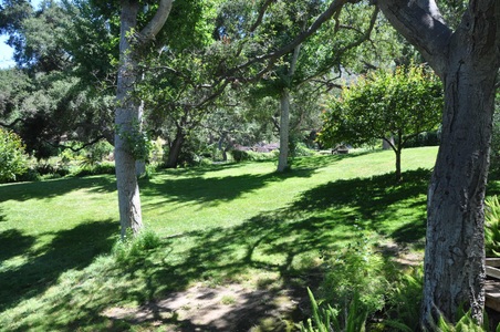 Enlarge photo 125