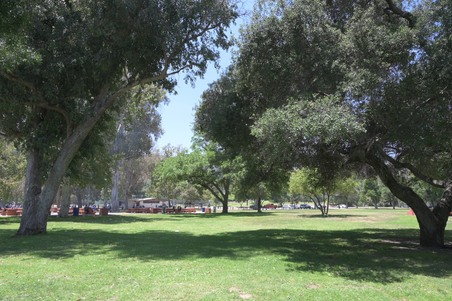 Crystal_Springs_Picnic_Area