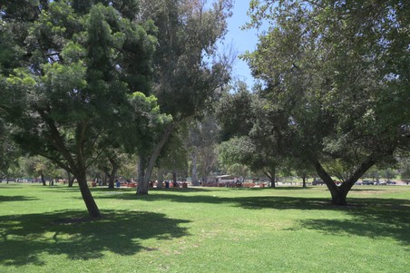 Enlarge photo 4