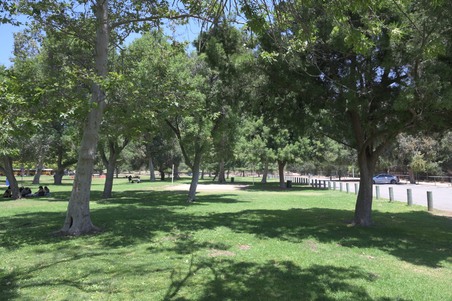 Enlarge photo 12
