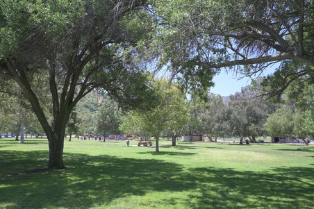 Enlarge photo 14
