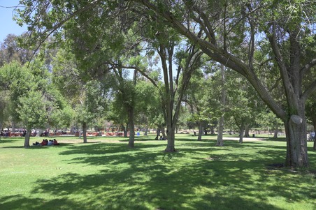 Enlarge photo 16