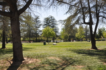Enlarge photo 13