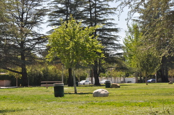 Enlarge photo 14