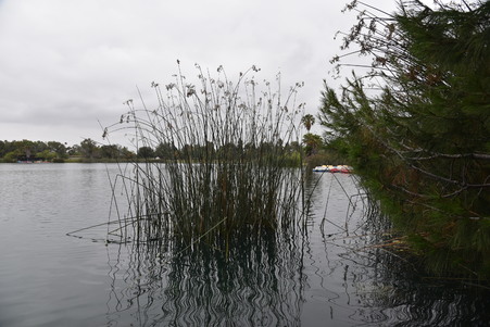 Enlarge photo 30