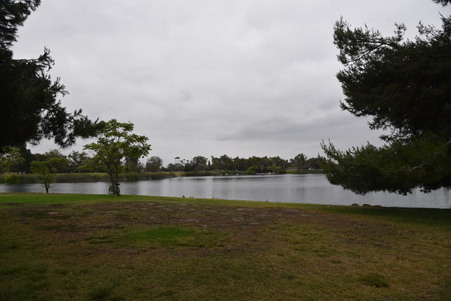 Enlarge photo 35