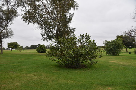 Enlarge photo 42