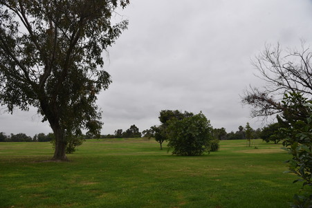 Enlarge photo 43