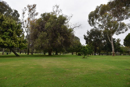 Enlarge photo 47
